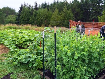 Josh, a worker at the Rainbow Garden project, examining the hugelkultur bed. Photo by Elizabeth Hoover