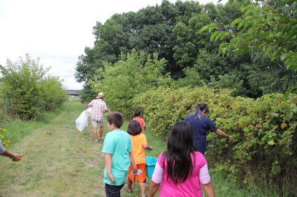 Walking out to the bean patch, picking wild grapes along the way. Photo by Elizabeth Hoover