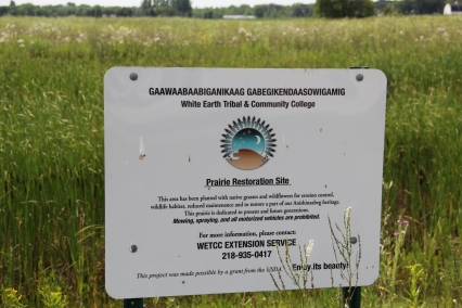 The Extension office also planted 2 1/3 acre of prairie, in an effort to restore the natural landscape. Photo by Angelo Baca
