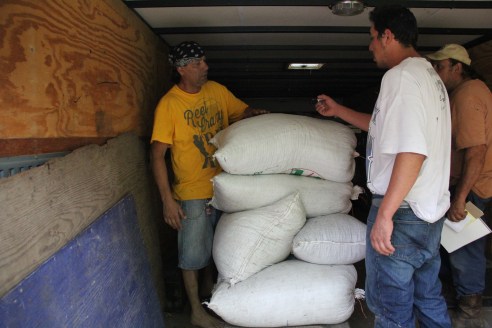 Weighing the rice they harvested (it was 620lbs). Photo by Elizabeth Hoover 8/30/14