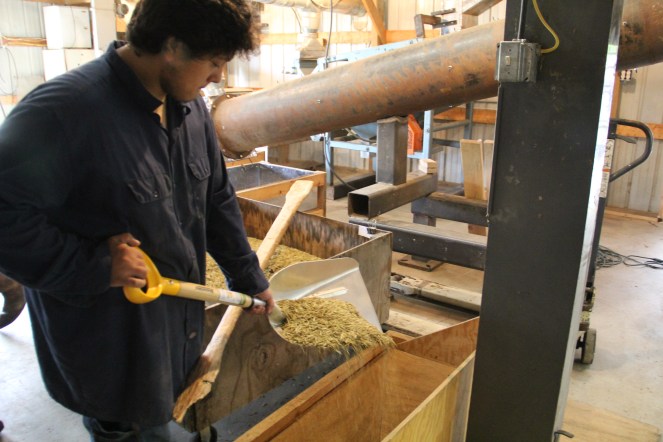 Bruce's son Sage, shoveling the parched rice into a vent