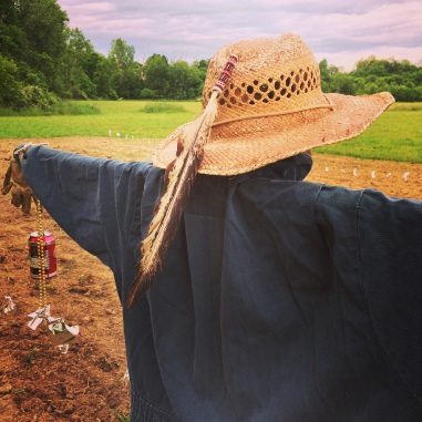 Scarecrow in the ECLC garden. Photo courtesy of Jason Corwin