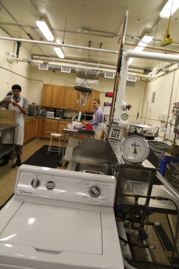 This washing machine has been converted into a corn washer, replacing hand held corn washing baskets or metal colanders. Photo by Angelo Baca