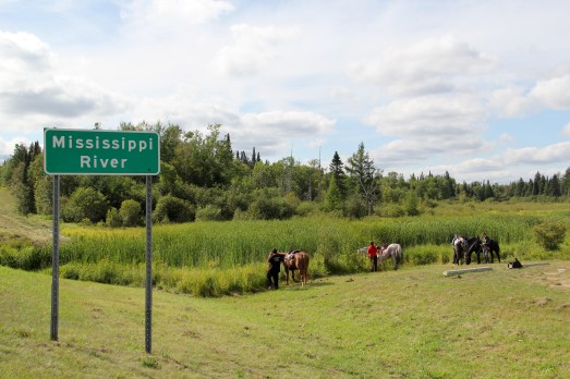 Grazing break at the Mississippi River. Photo by Elizabeth Hoover