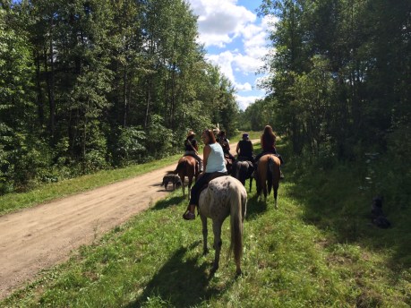 Photo by Elizabeth Hoover