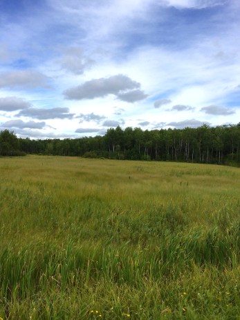 One of the wetlands we rode past. Photo by Elizabeth Hoover