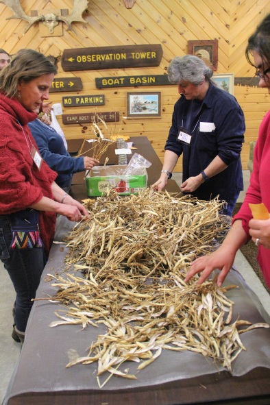 Seed swapping was also a big part of the conference. Here, participants are shelling orca beans to take home to their own gardens. Photo by Elizabeth Hoover
