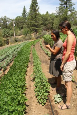 Visiting Rowen's farm in July 2014. Photo by Angelo Baca.