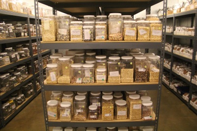 Some of the 2,000 varieties of arid climate seeds that are curated by Native Seeds/SEARCH. Photo by Angelo Baca